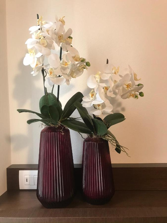 Verona Porta Borsari Relais מראה חיצוני תמונה